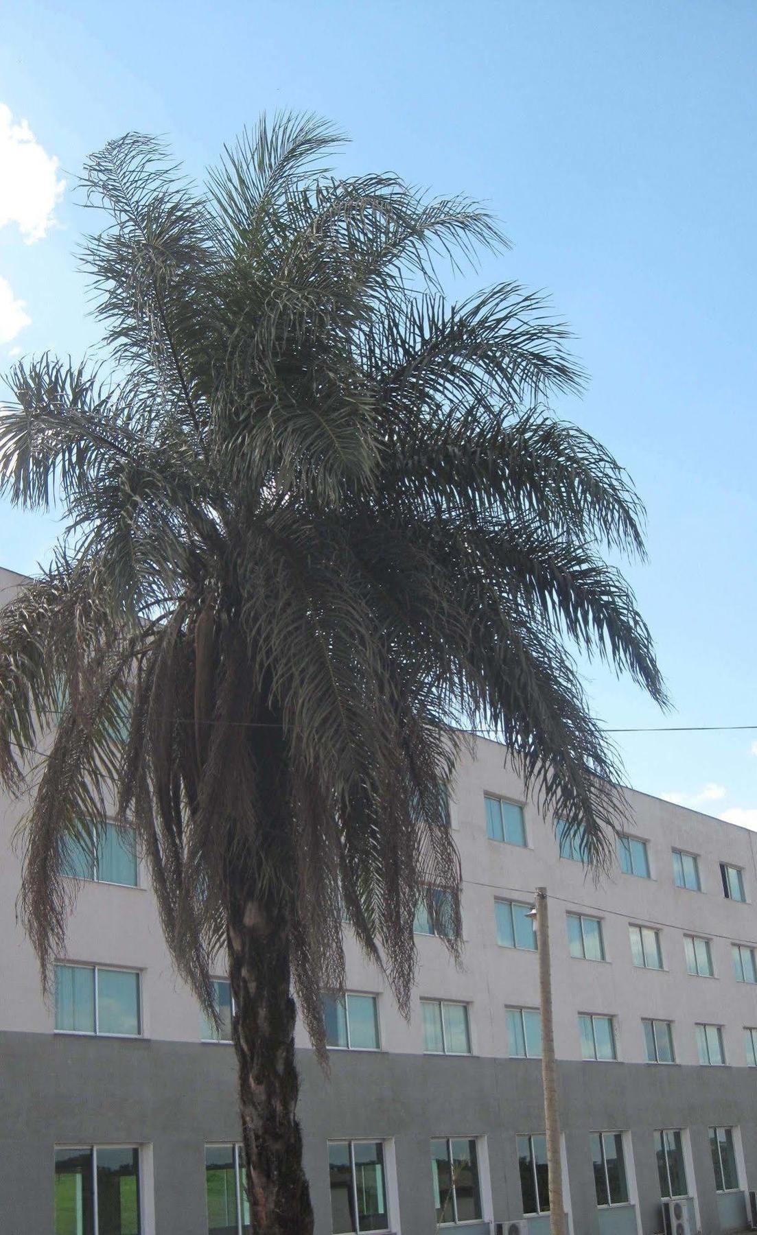 Hotel Mirante Sao Bras São Brás do Suaçuí المظهر الخارجي الصورة